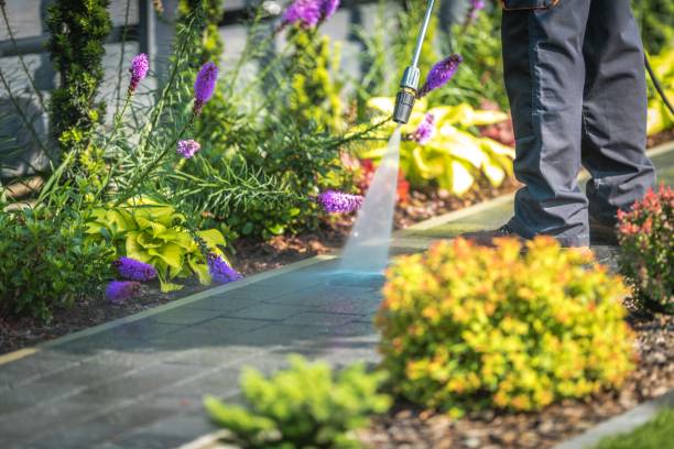 Best Dumpster Area Cleaning  in Glenn Heights, TX