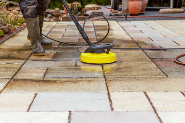 Best Animal Enclosure Cleaning  in Glenn Heights, TX